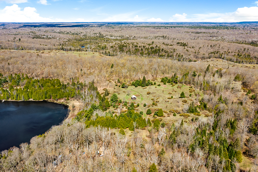 Aerial view of a huge forested area