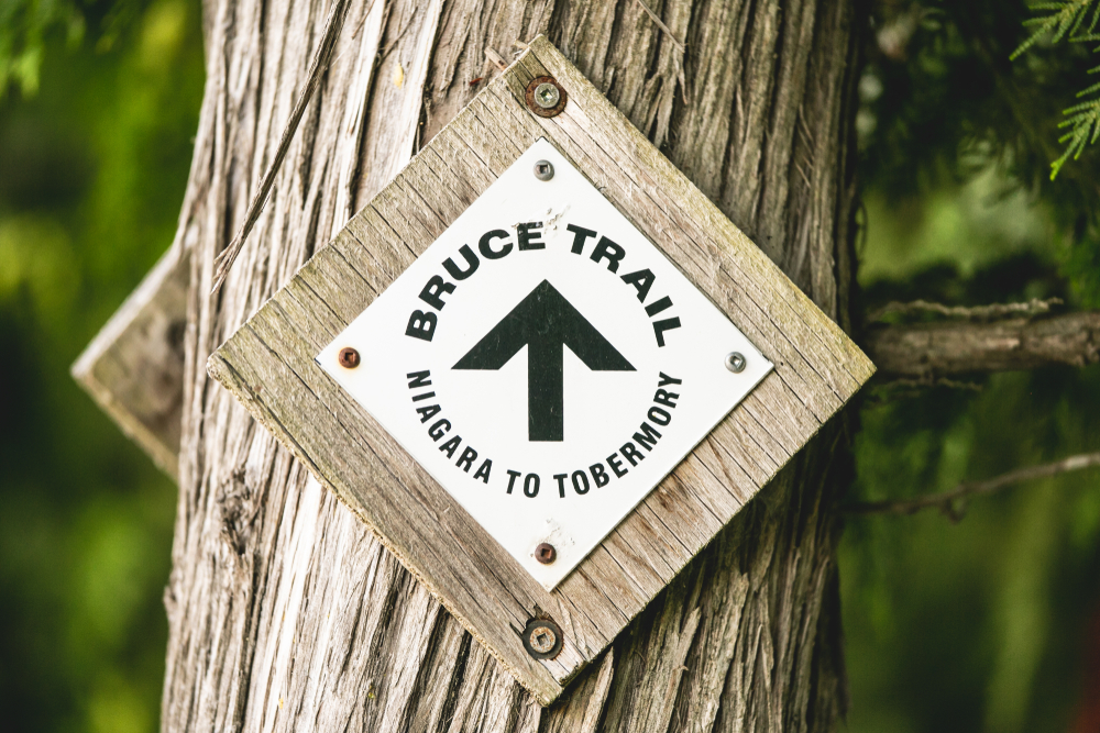 A close-up of a Bruce Trail sign attached to a tree