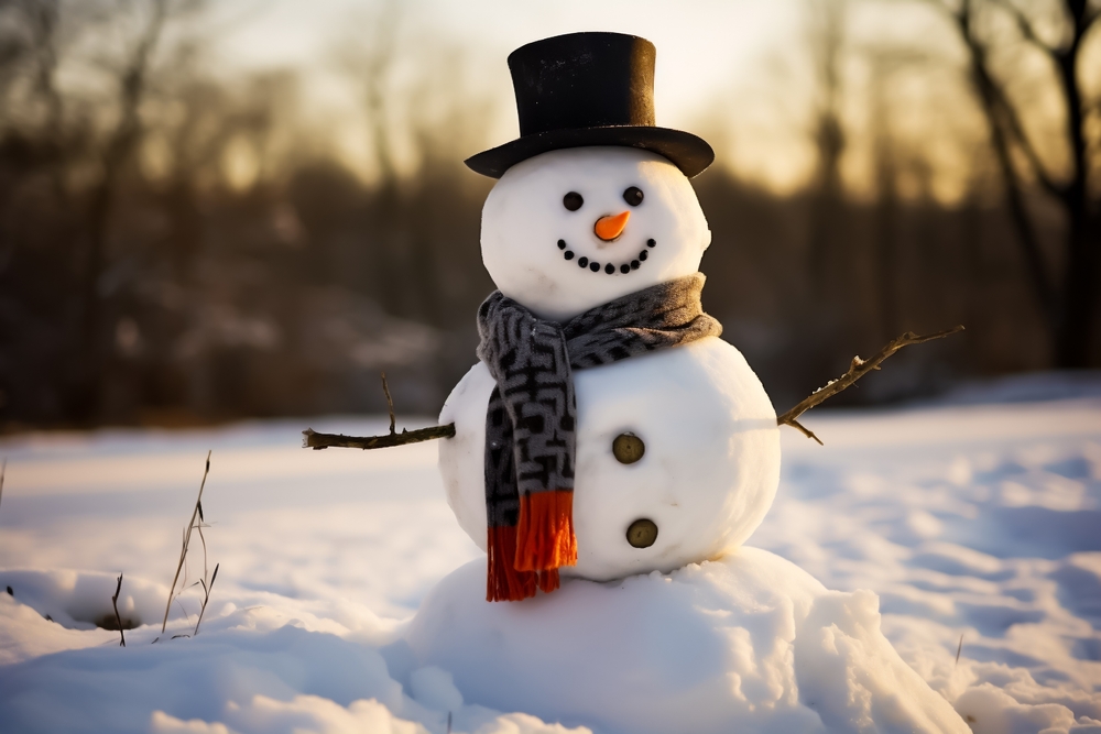 A classic snowman in a field