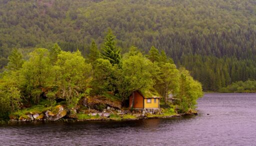 A cabin nestled among trees on an island