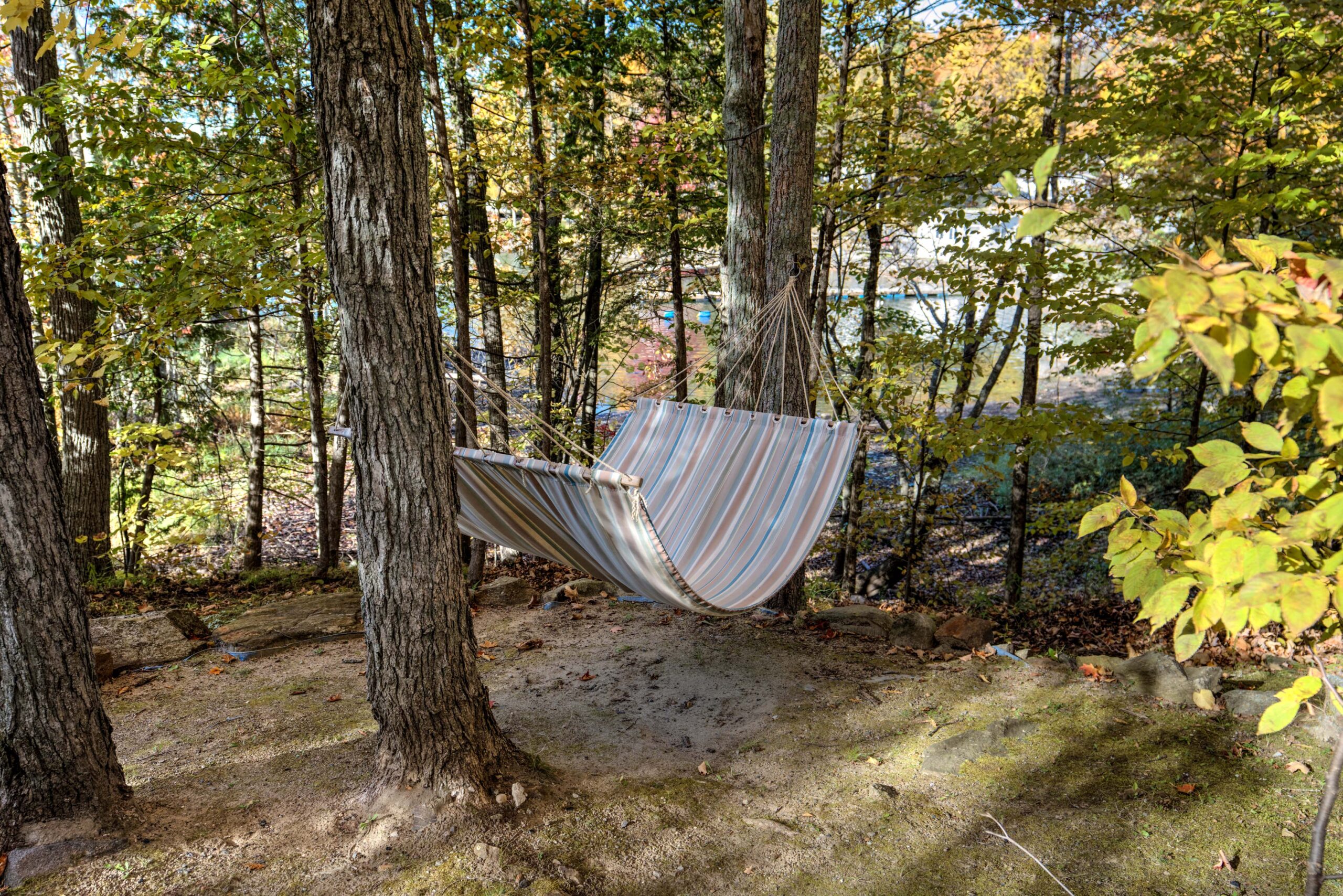A striped hammock hangs from two trees in a forest