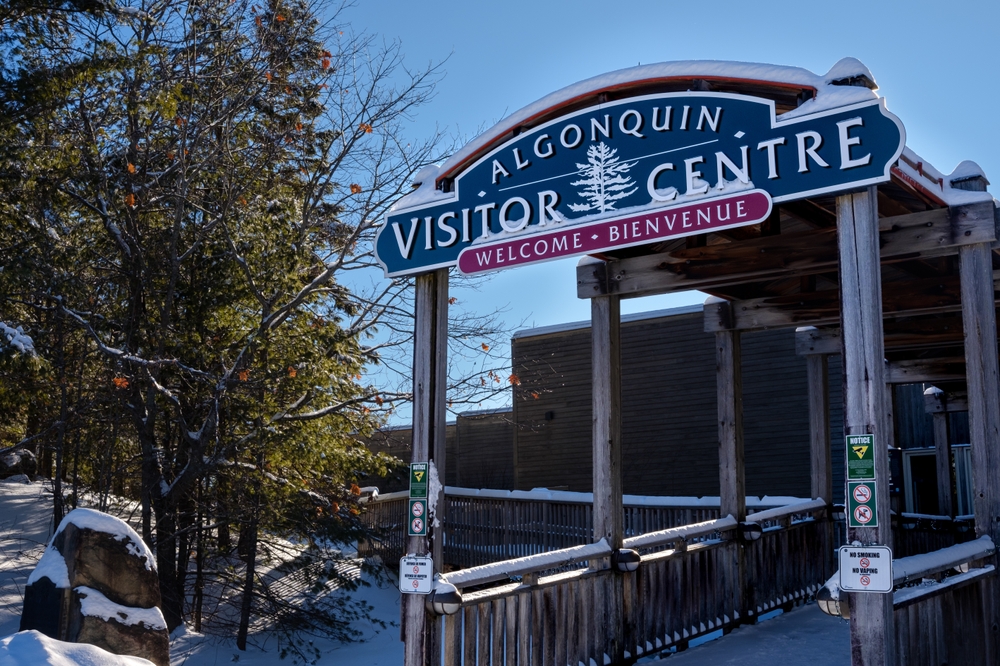 Provincial Park in Winter