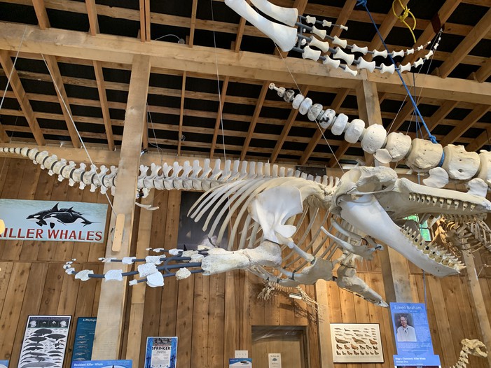 Whale Interpretive Centre