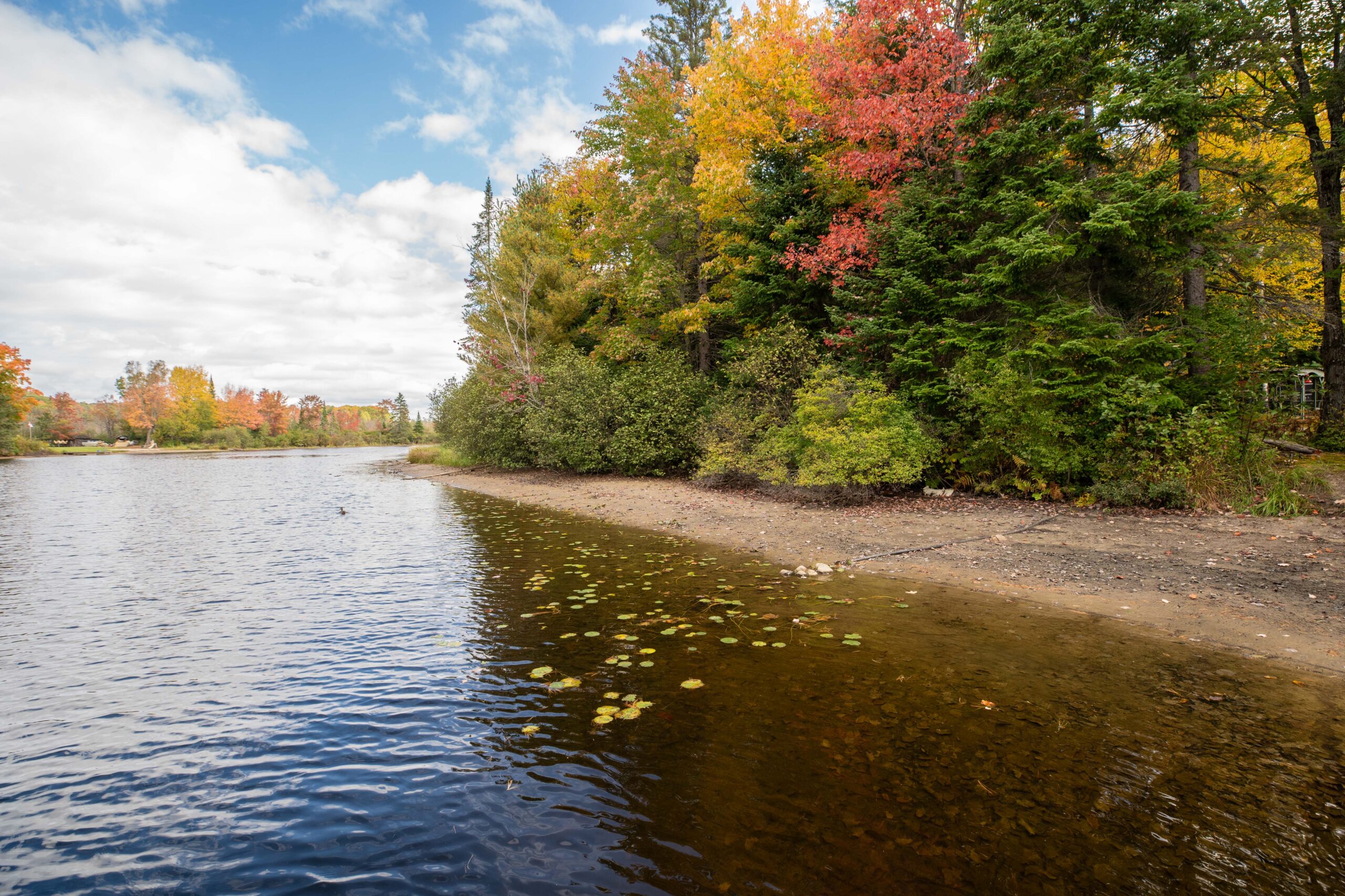 A small beach area next to a river