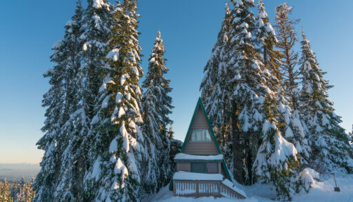 a photo of a small cabin in a snowy, forested landscape