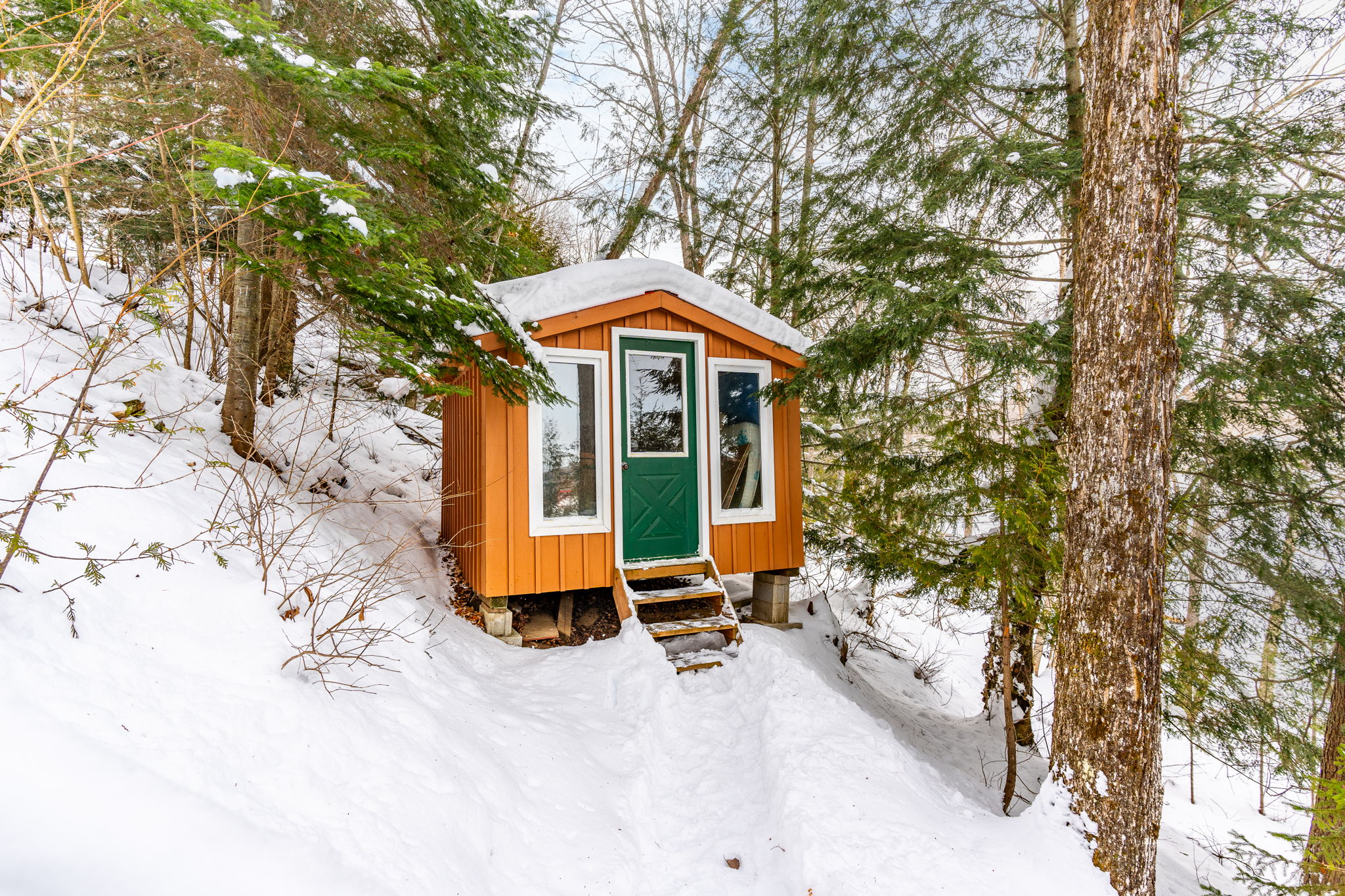 A small wood shed with a green door is covered in snow
