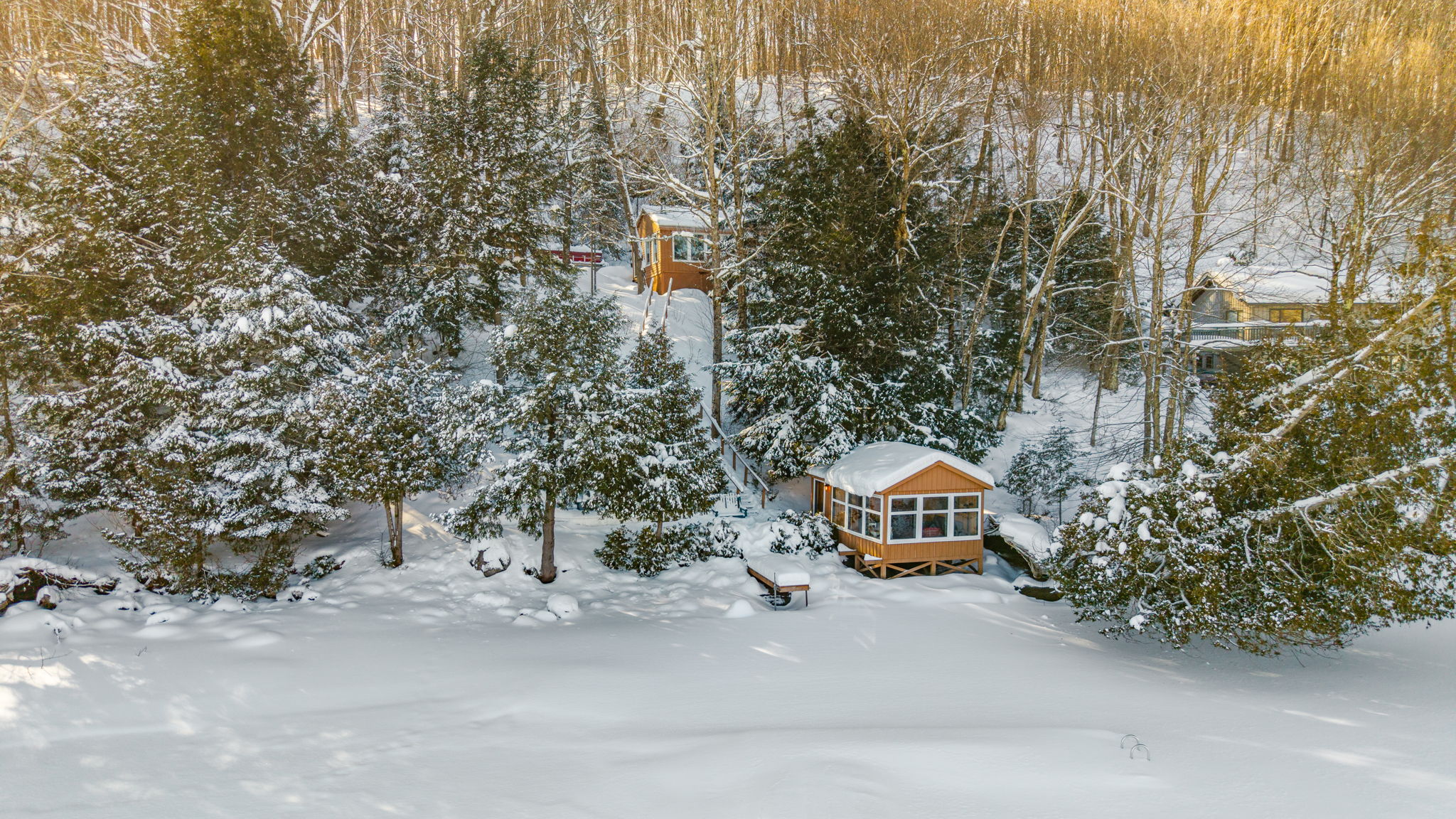 Aerial view of a wood cottage surrounded by a snowy forest