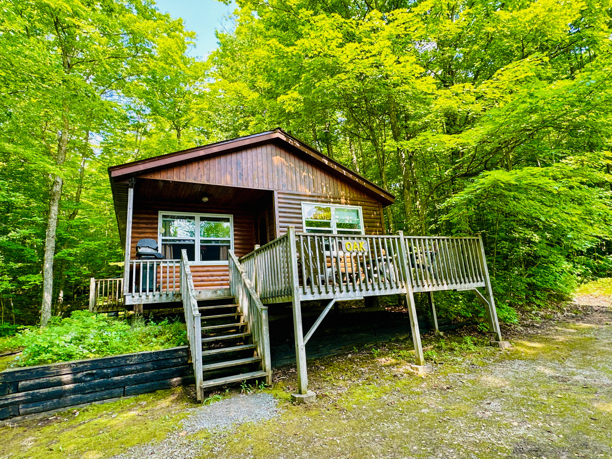 A charming log-sided cabin nestled among tall trees at Cedar Grove Cottages on Lake Mindemoya.
