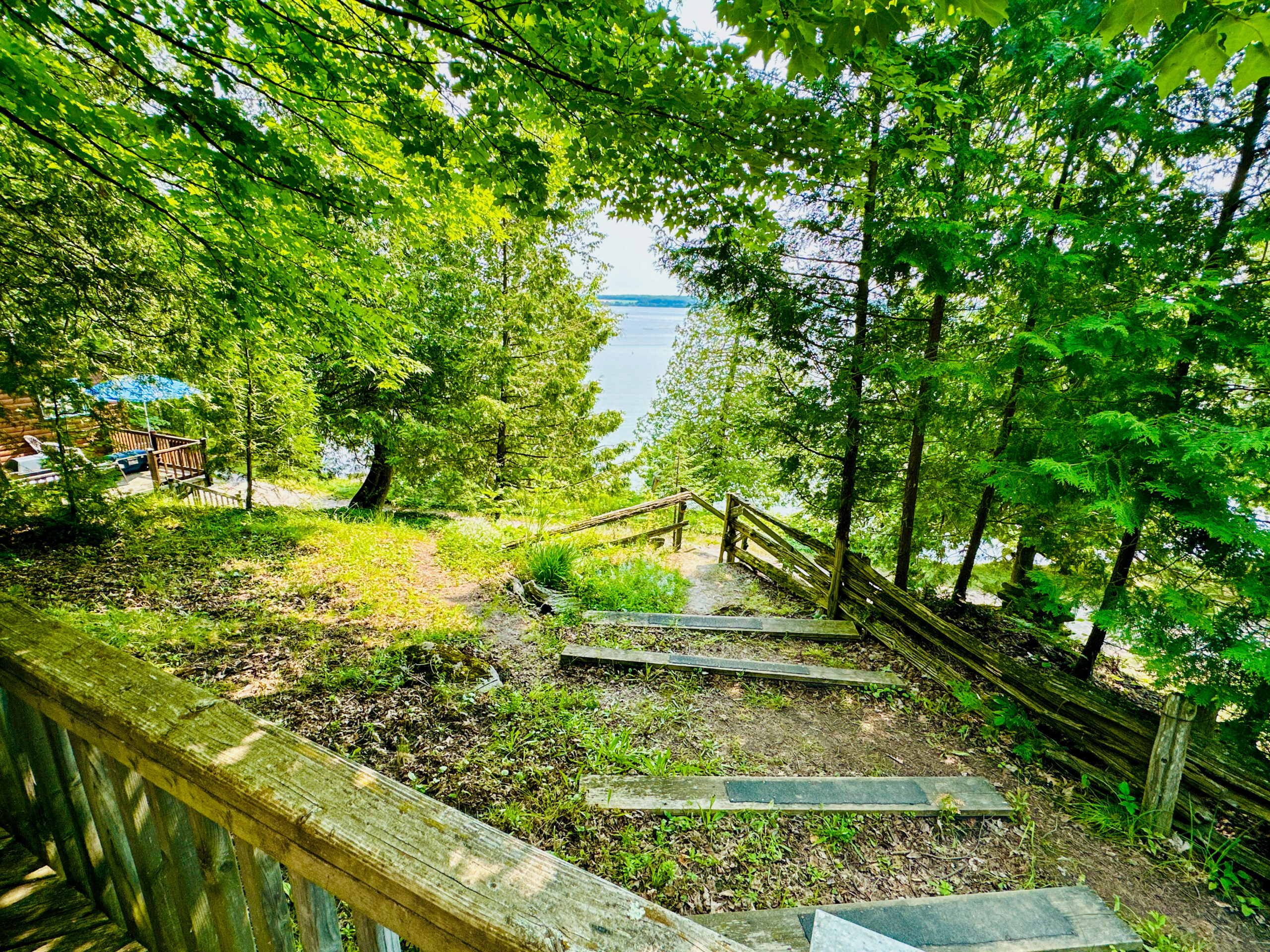 A serene view of the lake from one of the cabins, surrounded by mature trees.