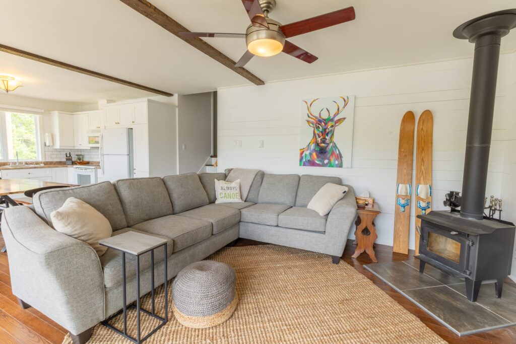 A grey wood stove in a bright living room
