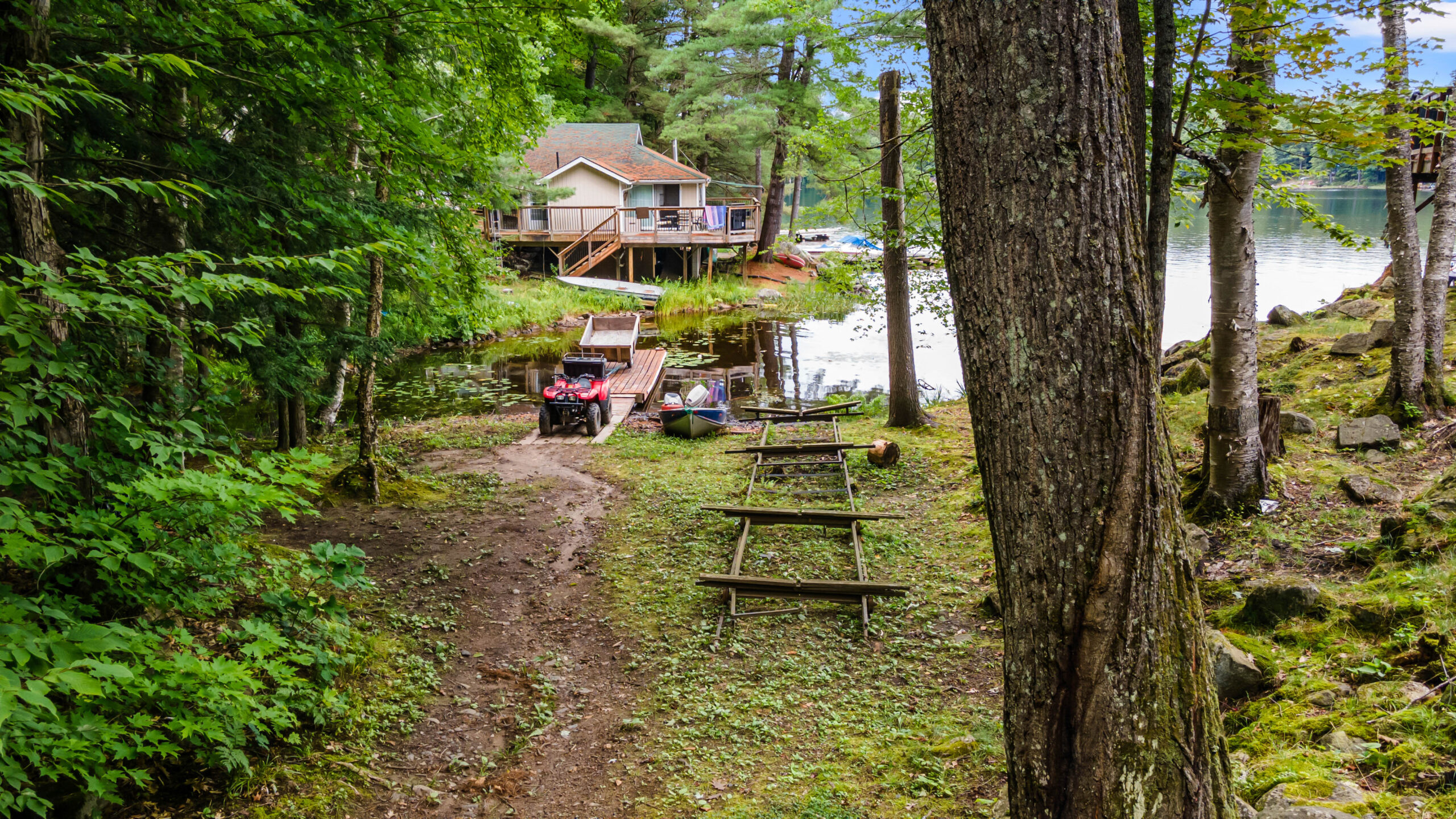 A grassy forest trail leads towards the cottage