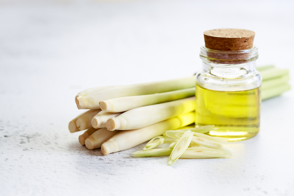 A bottle of lemongrass essential oil and fresh lemongrass