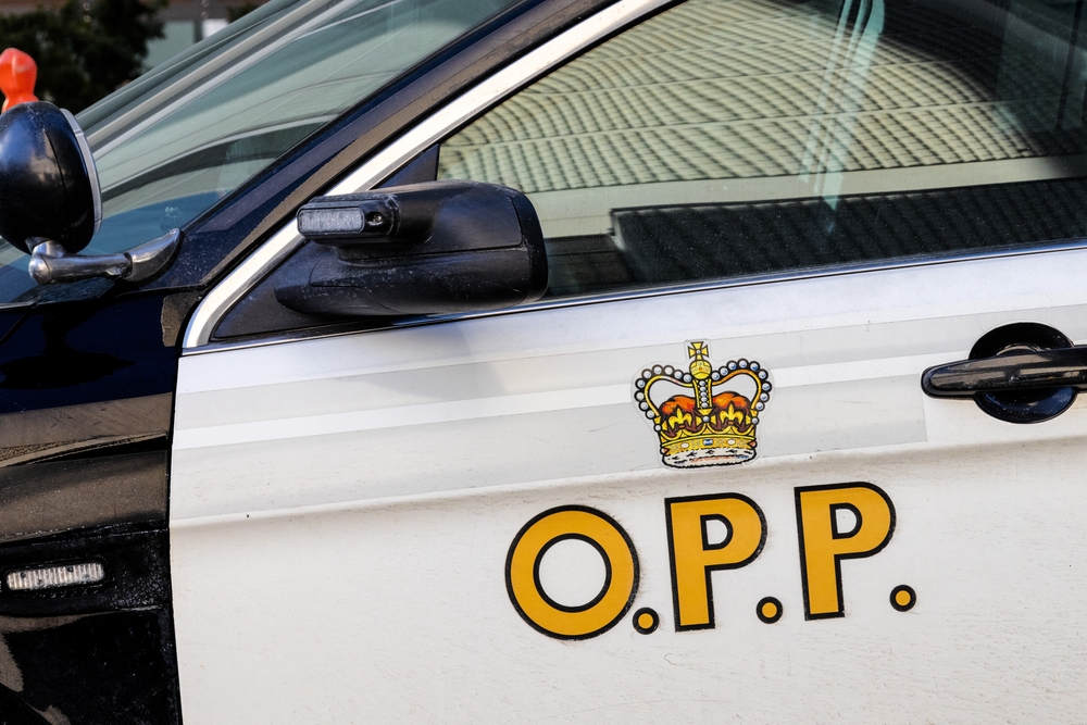 loseup of the gold door logo of an Ontario Provincial Police . OPP, cruiser in downtown Toronto