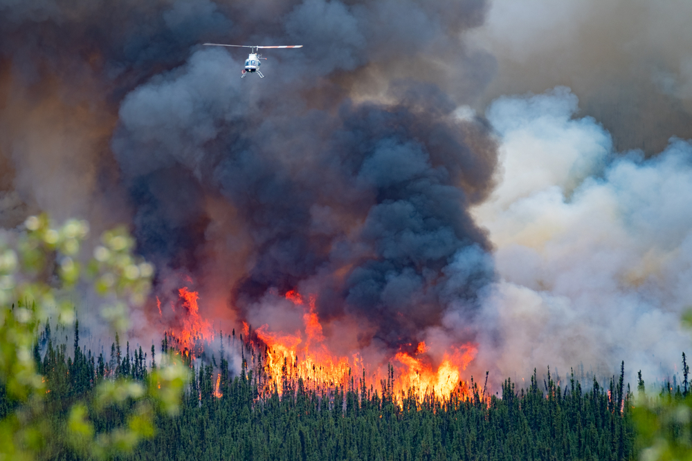 Manitoba Wildfire