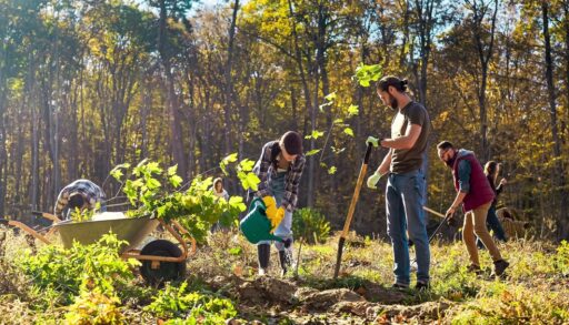 People digging and watering soil to plant trees in a forest.