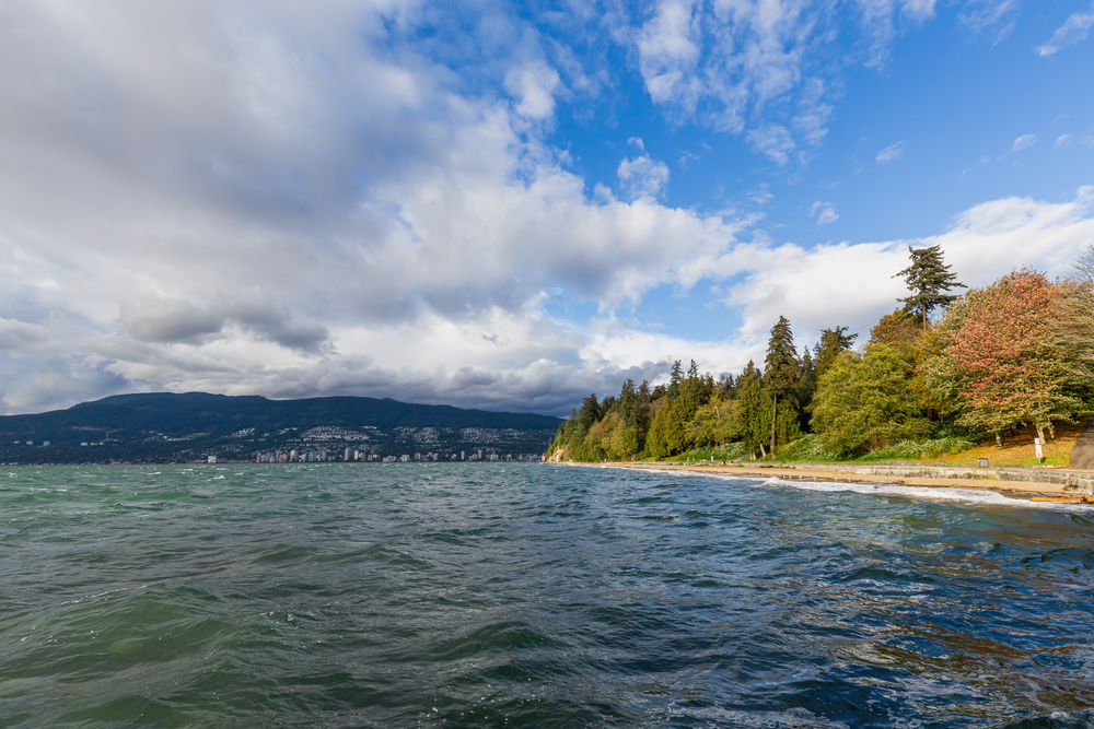 The coastline at B.C.'s Stanley Park