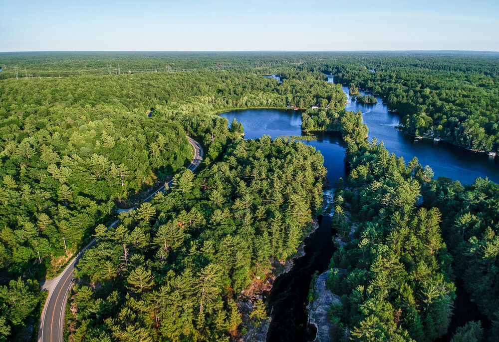 Aerial view of winding highway road and fresh water lake surrounded by coniferous forests going to horizon, sunny summer day. Northern Ontario, Canada. Shot from the air with drone. remote connectivity