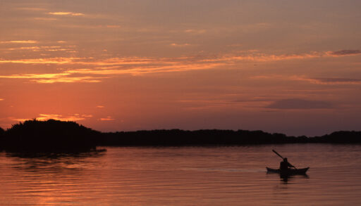 A Person Paddling a Kayak