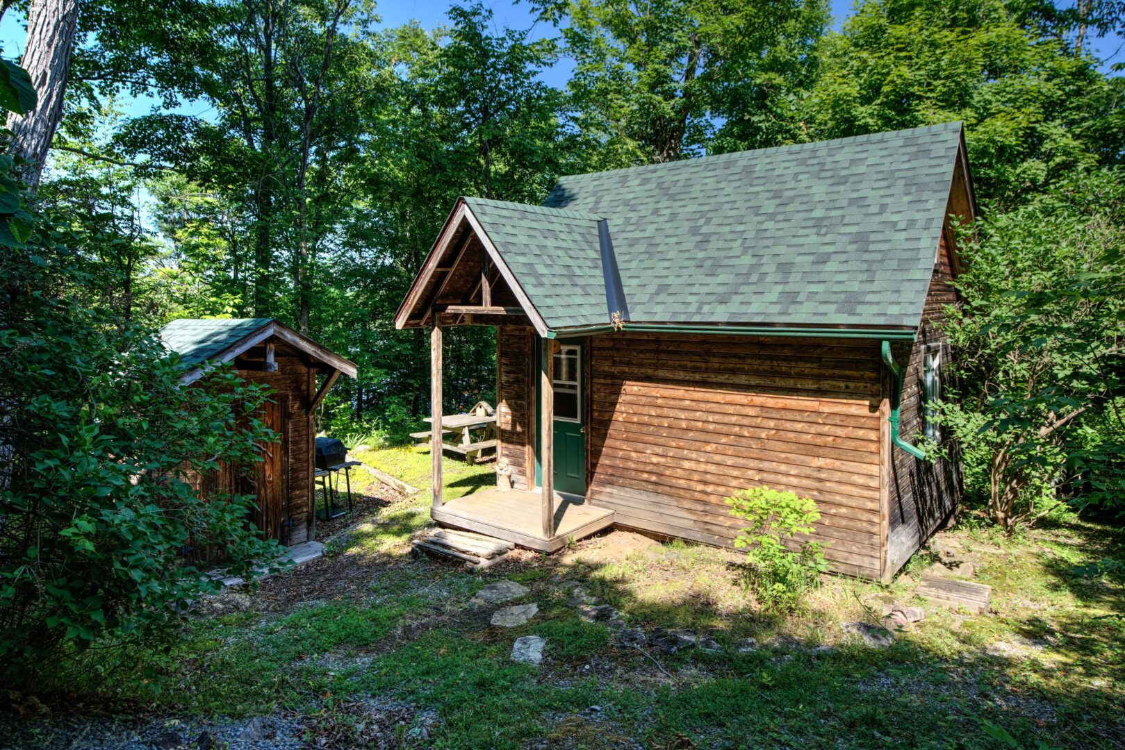 A wood bunkie in the forest