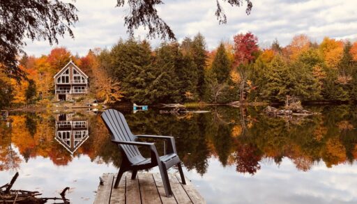 Dock by a calm lake surrounded by trees during autumn/fall
