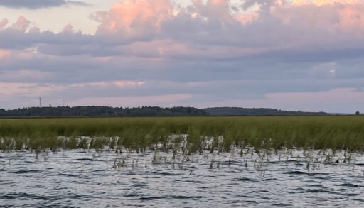 A photo of Rice Lake