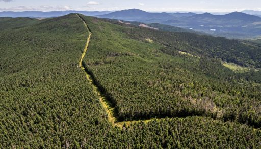 Many portions of the U.S.–Canada border are simple cuts made through thick forest, including this one, slicing through Maine and Quebec.